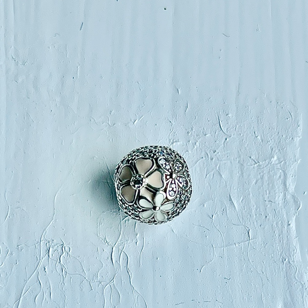 Pandora Charm